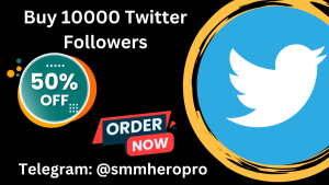 Buy 10000 Twitter Followers 